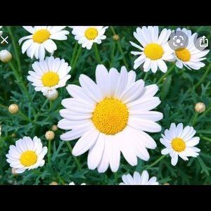 Meet your Posher, Colleen